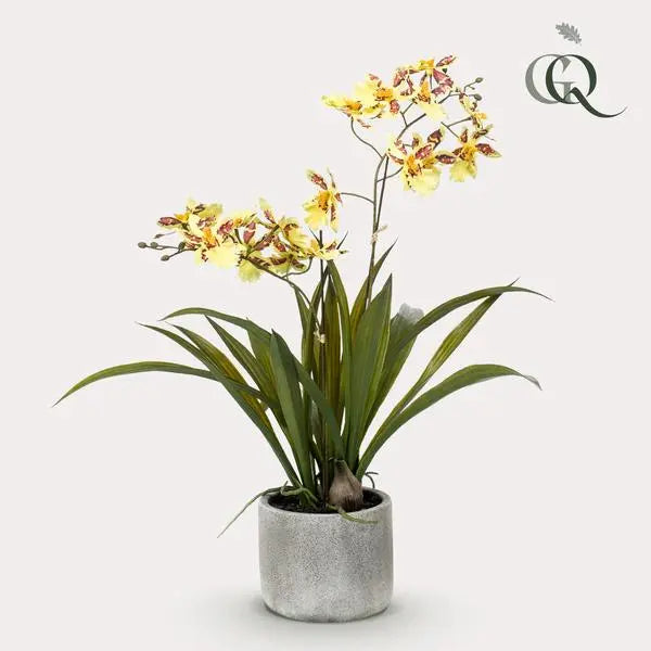 Kunstplant - Orchidee - Geel - 45cm  BotanicBridge