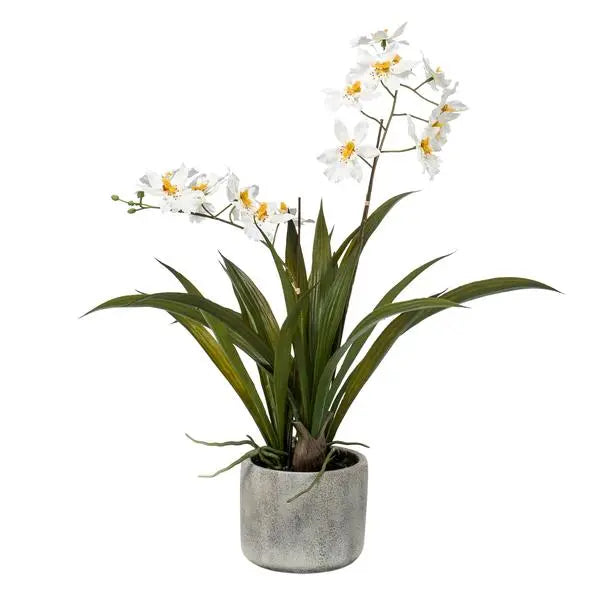 Kunstplant - Orchidee - Wit - 45cm  BotanicBridge