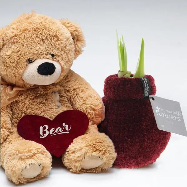 No Water Flowers® (wax amaryllis) | Fashionz Cozy Teddy - Bordeaux + Red flower  BotanicBridge