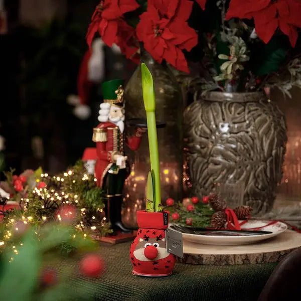 No Water Flowers® (wax amaryllis) | Fashionz Xmas Fun Classic - Reindeer + Red flower  BotanicBridge