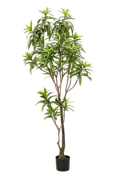 Kunstplant - Dracaena - Drakenboom - 190 cm  BotanicBridge