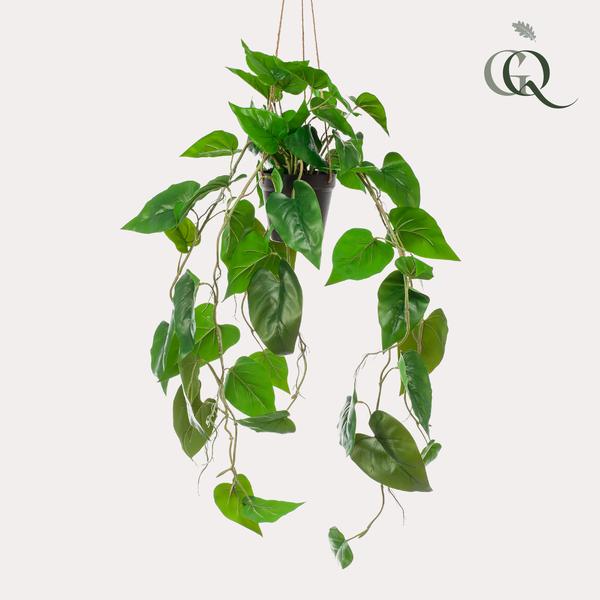 Kunstplant - Philodendron scandens - Klimmende Boomliefhebber - 80 cm  BotanicBridge