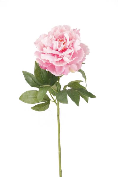 Kunstbloemen Solo - Light Pink - Peonies - x 5 - 65cm  BotanicBridge