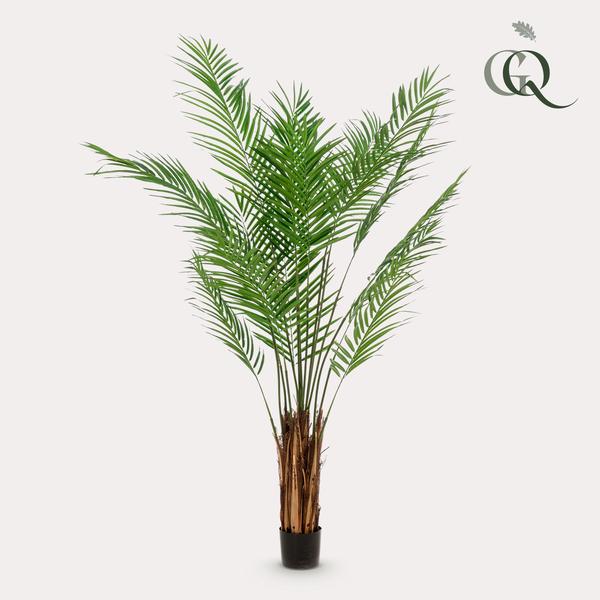 Kunstplant - Areca Lutescens - Goudpalm - 180 cm  BotanicBridge