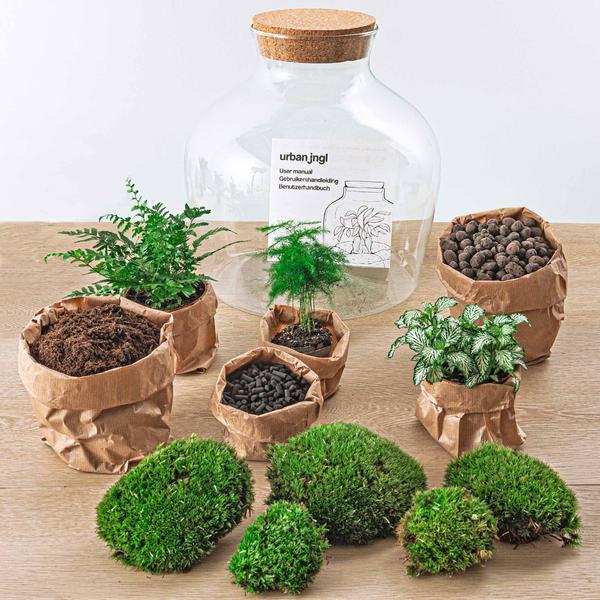 DIY terrarium - Fat Joe Groen - ↕ 30 cm - Rake + Shovel  BotanicBridge