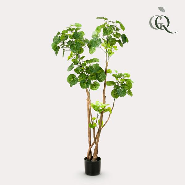 Kunstplant - Polyscias - Aralia - 140 cm  BotanicBridge