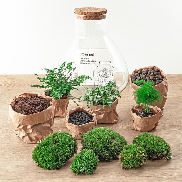 DIY terrarium - Sam XL - ↕ 35 cm - Rake + Shovel + Tweezer  BotanicBridge