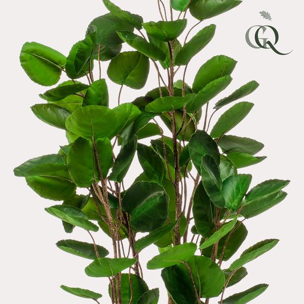 Kunstplant - Polyscias - Aralia - 105 cm  BotanicBridge