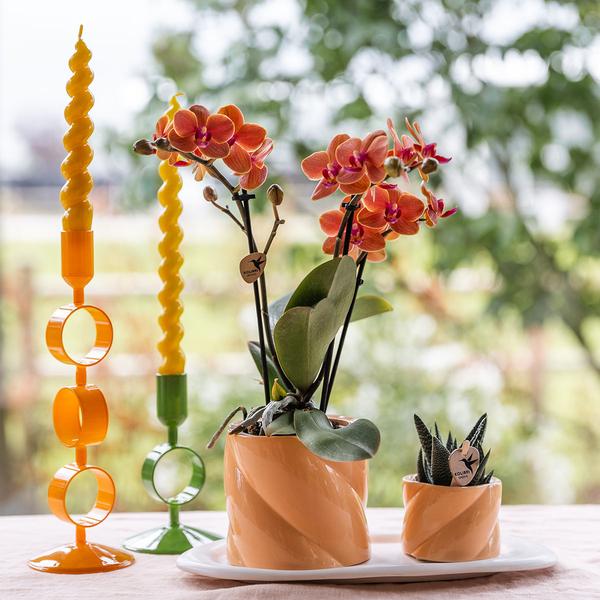 Kolibri Home | Candy sierpot - Peach - Ø9cm  BotanicBridge