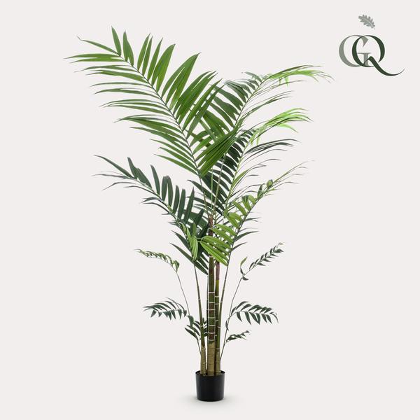 Kunstplant - Kentia -Kentiapalm - 210cm  BotanicBridge