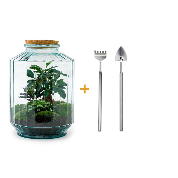 DIY terrarium - Botanical garden XL - ↕ 35 cm - Rake + Shovel  BotanicBridge