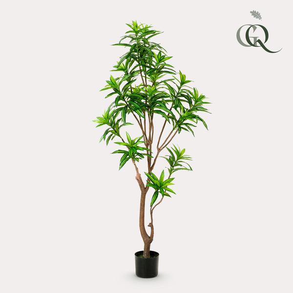 Kunstplant - Dracaena - Drakenboom - 155 cm  BotanicBridge