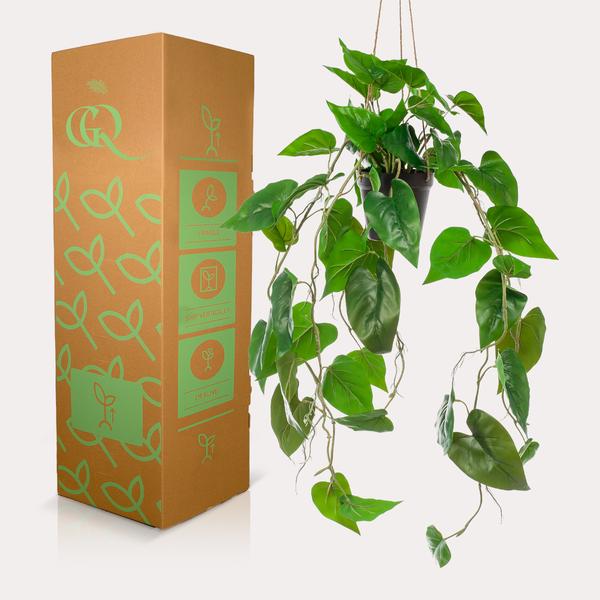 Kunstplant - Philodendron scandens - Klimmende Boomliefhebber - 80 cm  BotanicBridge