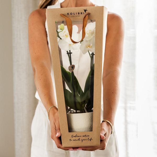 Kolibri Company I Cadeau tasje voor Orchidee met Sierpot 9cm  BotanicBridge