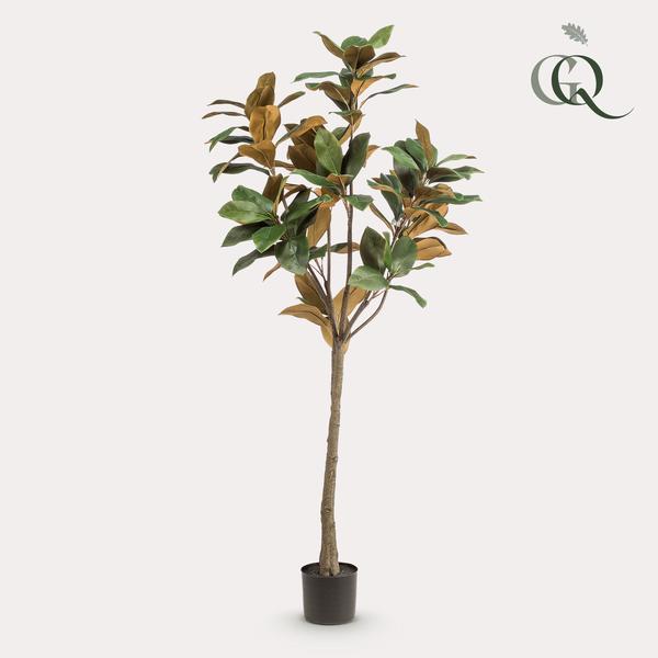 Kunstplant - Magnolia Grandiflora  - 150 cm  BotanicBridge