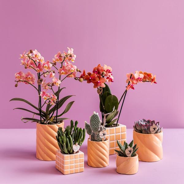 Kolibri Home | Candy sierpot - Peach - Ø6cm  BotanicBridge