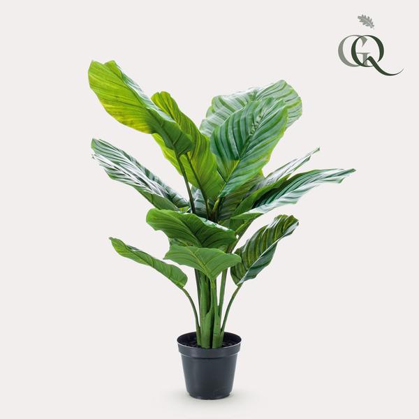 Kunstplant - Calathea Orbifolia - Schaduwplant - 60 cm  BotanicBridge