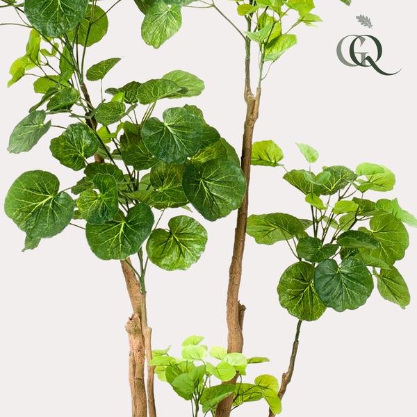 Kunstplant - Polyscias - Aralia - 140 cm  BotanicBridge