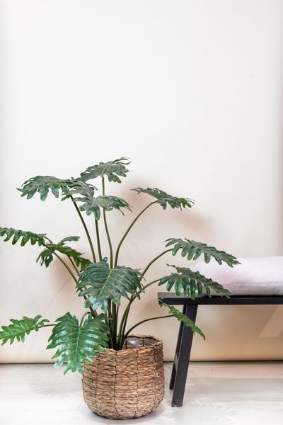 Kunstplant - Philodendron - 105 cm  BotanicBridge