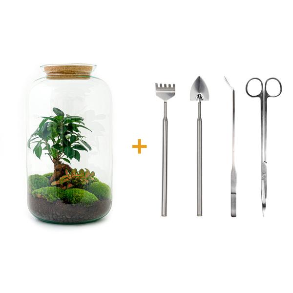 DIY terrarium - Sven Bonsai - ↕ 43 cm - Rake + Shovel + Tweezer + Scissors  BotanicBridge