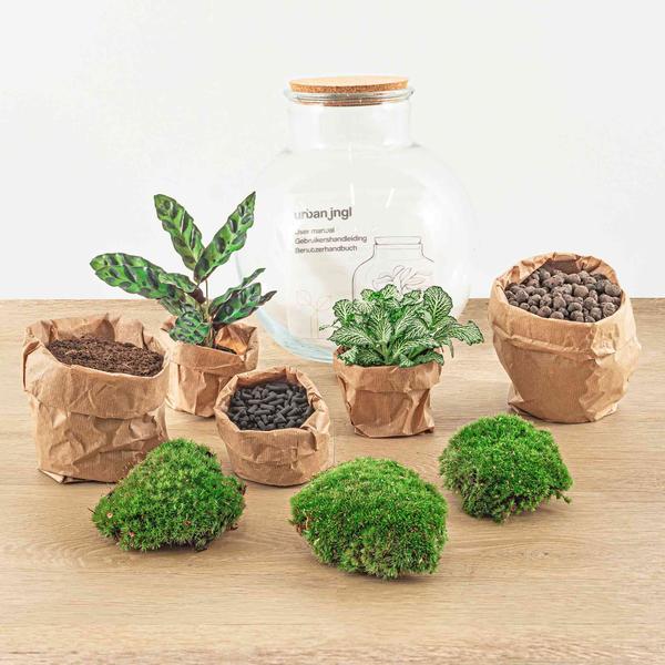 DIY terrarium - Teddy - ↕ 26,5 cm - Rake + Shovel + Tweezer + Scissors  BotanicBridge