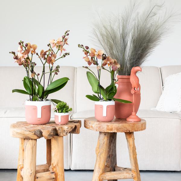 Kolibri Home | Ornament - Decoratie beeld Toucan - Terracotta  BotanicBridge