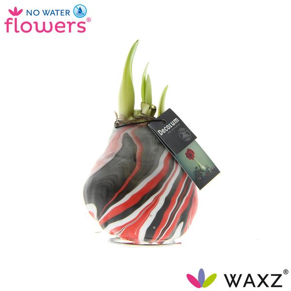 No Water Flowers Waxz® Artooz Earth Red - ↕15cm  BotanicBridge