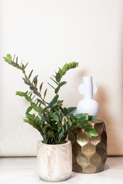 Kunstplant - Zamioculcas - Kamerpalm - 110 cm  BotanicBridge