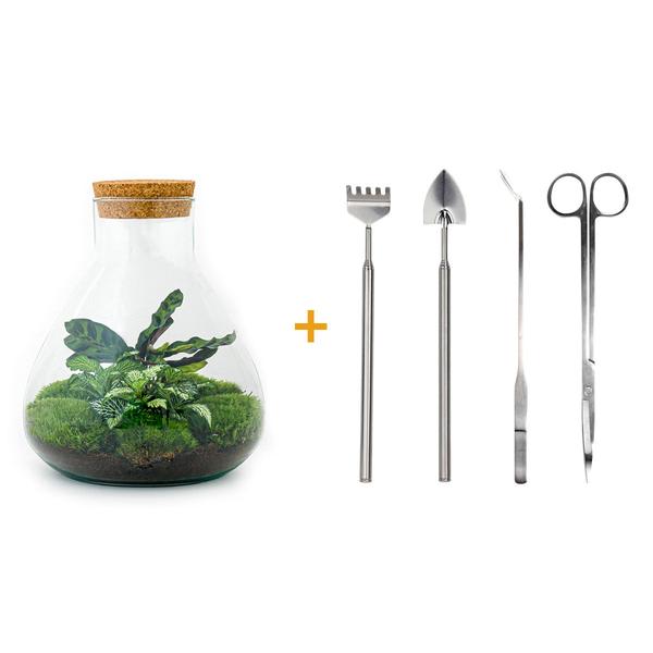 DIY terrarium - Sammie - ↕ 27 cm - Rake + Shovel + Tweezer  BotanicBridge