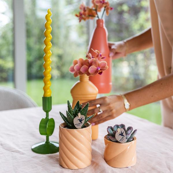 Kolibri Home | Candy sierpot | Hoog - Peach - Ø6cm  BotanicBridge