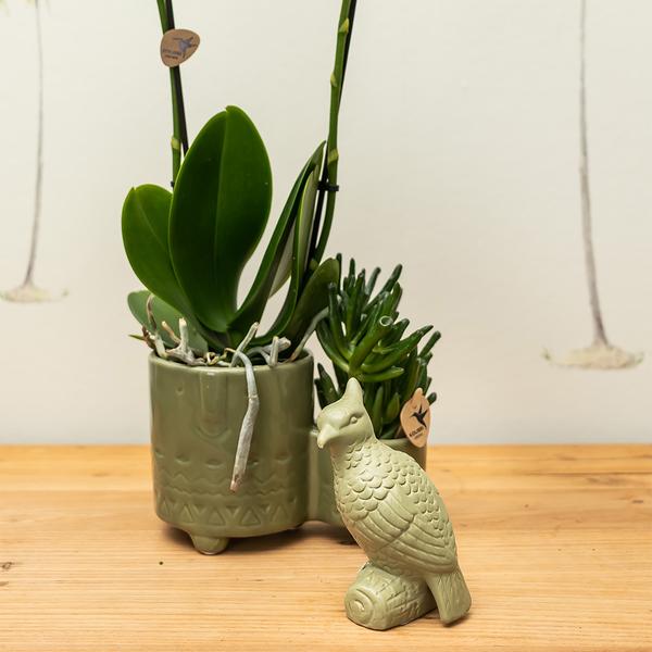 Kolibri Home | Ornament - Decoratie beeld Cockatoo - Green  BotanicBridge