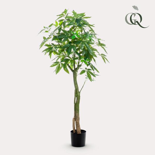 Kunstplant - Pachira Aquatica - Geldboom - 150 cm  BotanicBridge