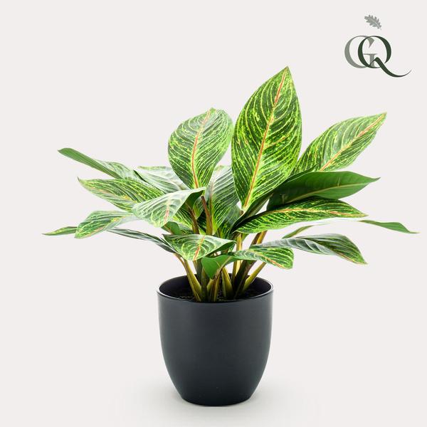 Kunstplant - Croton Codiaeum - Wonderstruik - 38 cm  BotanicBridge