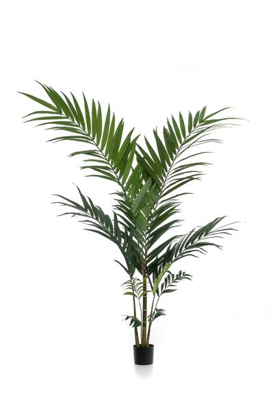 Kunstplant - Kentia -Kentiapalm - 150cm  BotanicBridge