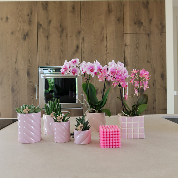 Kolibri Home | Mosa sierpot - Pink - Ø6cm  BotanicBridge