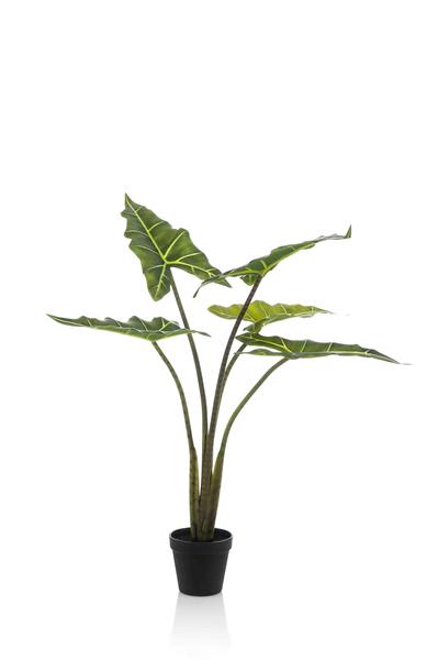 Kunstplant - Alocasia Frydek - Olifantsoor - 80 cm  BotanicBridge