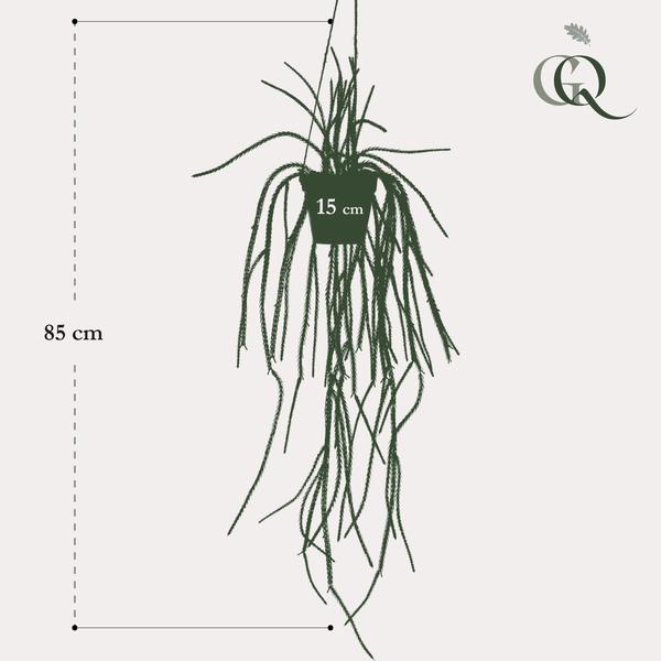 Kunstplant - Rhypsalis - Koraalcactus - 85 cm  BotanicBridge