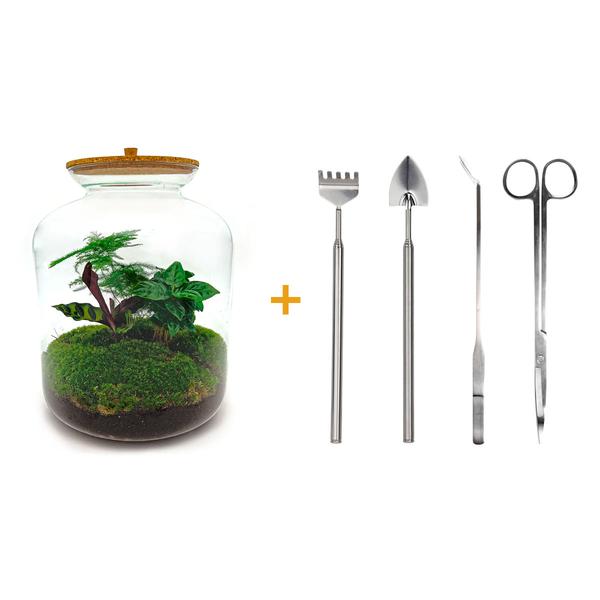 DIY terrarium - Lukas - ↕ 33 cm - Rake + Shovel + Tweezer + Scissors  BotanicBridge