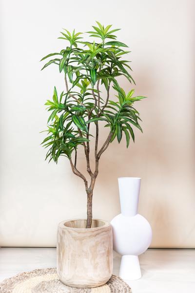 Kunstplant - Dracaena - Drakenboom - 155 cm  BotanicBridge