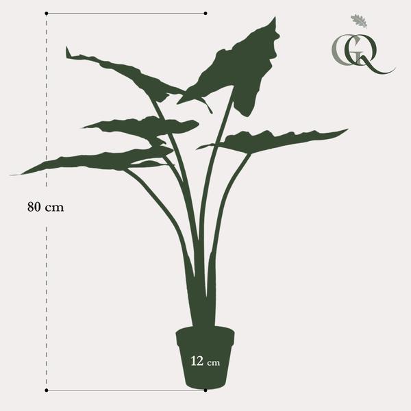 Kunstplant - Alocasia Frydek - Olifantsoor - 80 cm  BotanicBridge