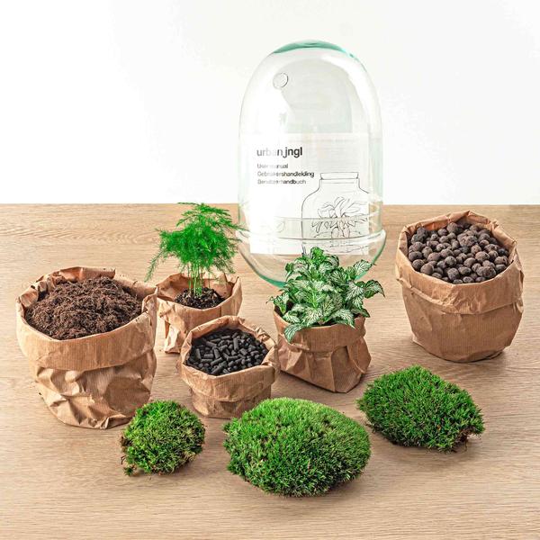 DIY terrarium - Egg XL - ↕ 30 cm  BotanicBridge