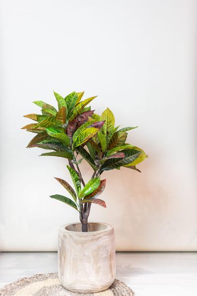 Kunstplant - Croton Codiaeum - Wonderstruik - 100 cm  BotanicBridge