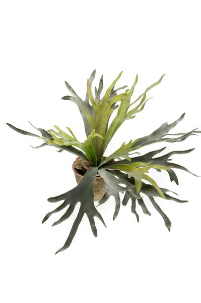 Kunstplant - Staghorn Fern - Hertshoorn - 50 cm  BotanicBridge