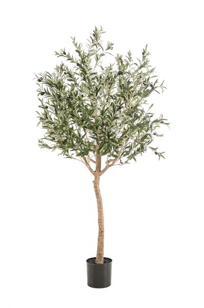 Kunst Olijfboom -  Olea europaea - Olijfboom - 180 cm  BotanicBridge