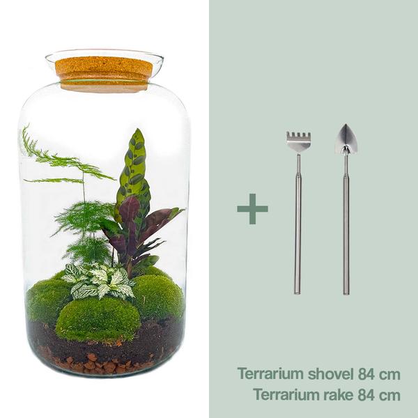 DIY terrarium - Botanical Sven XL - ↕ 43 cm - Normal  BotanicBridge