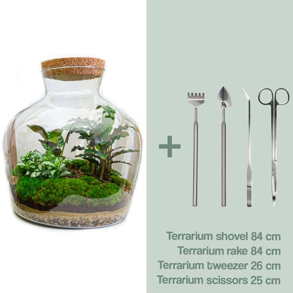 DIY terrarium -  Fat Joe - ↕ 30 cm - Rake + Shovel + Tweezer + Scissors  BotanicBridge