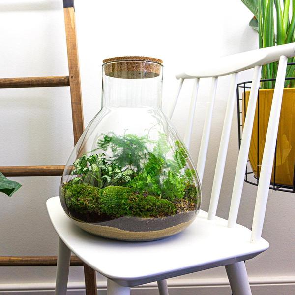 DIY terrarium - Sam XL - ↕ 35 cm - Rake + Shovel + Tweezer  BotanicBridge