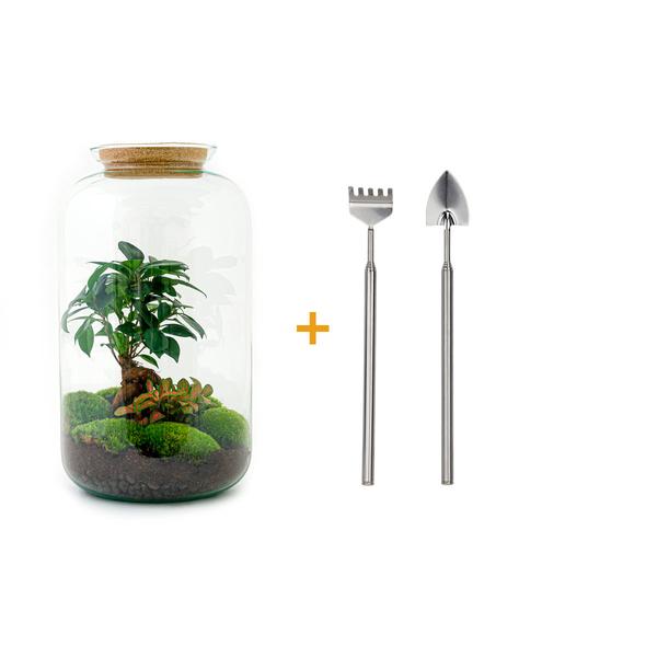 DIY terrarium - Sven Bonsai - ↕ 43 cm - Rake + Shovel  BotanicBridge