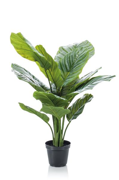 Kunstplant - Calathea Orbifolia - Schaduwplant - 60 cm  BotanicBridge