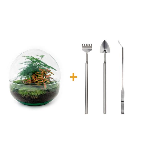 DIY terrarium - Dome Red - ↕ 20 cm - Rake + Shovel + Tweezer  BotanicBridge